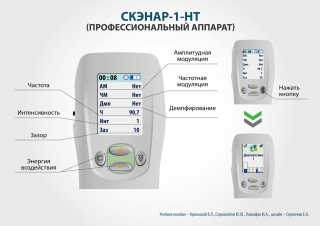 СКЭНАР-1-НТ (исполнение 02.2) Скэнар Оптима в Биробиджане купить Медицинская техника - denasosteo.ru 
